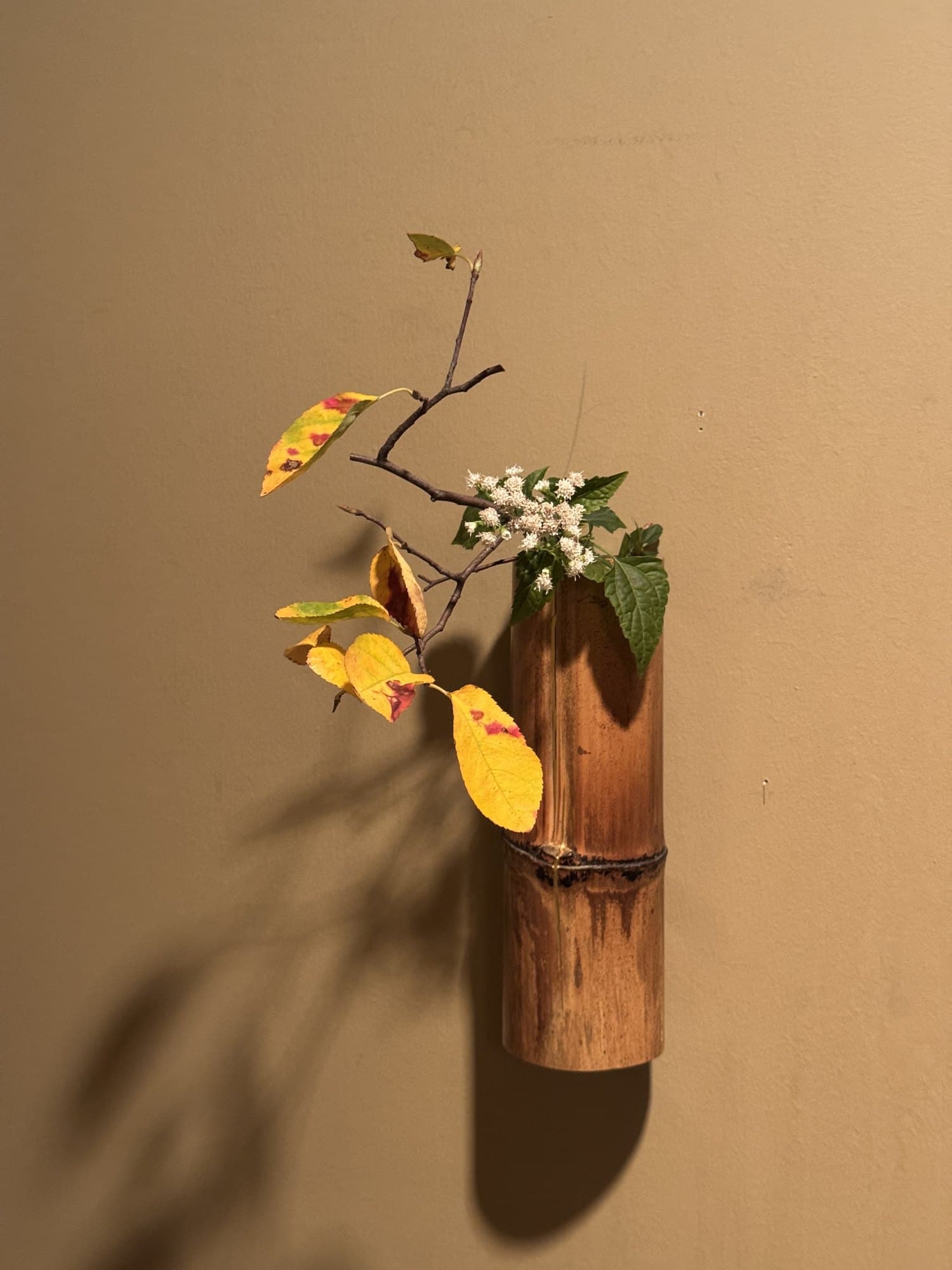 NY Seasonal Tea Ceremony: The Ritual of Kuchikiri 2026 — 7 of 7