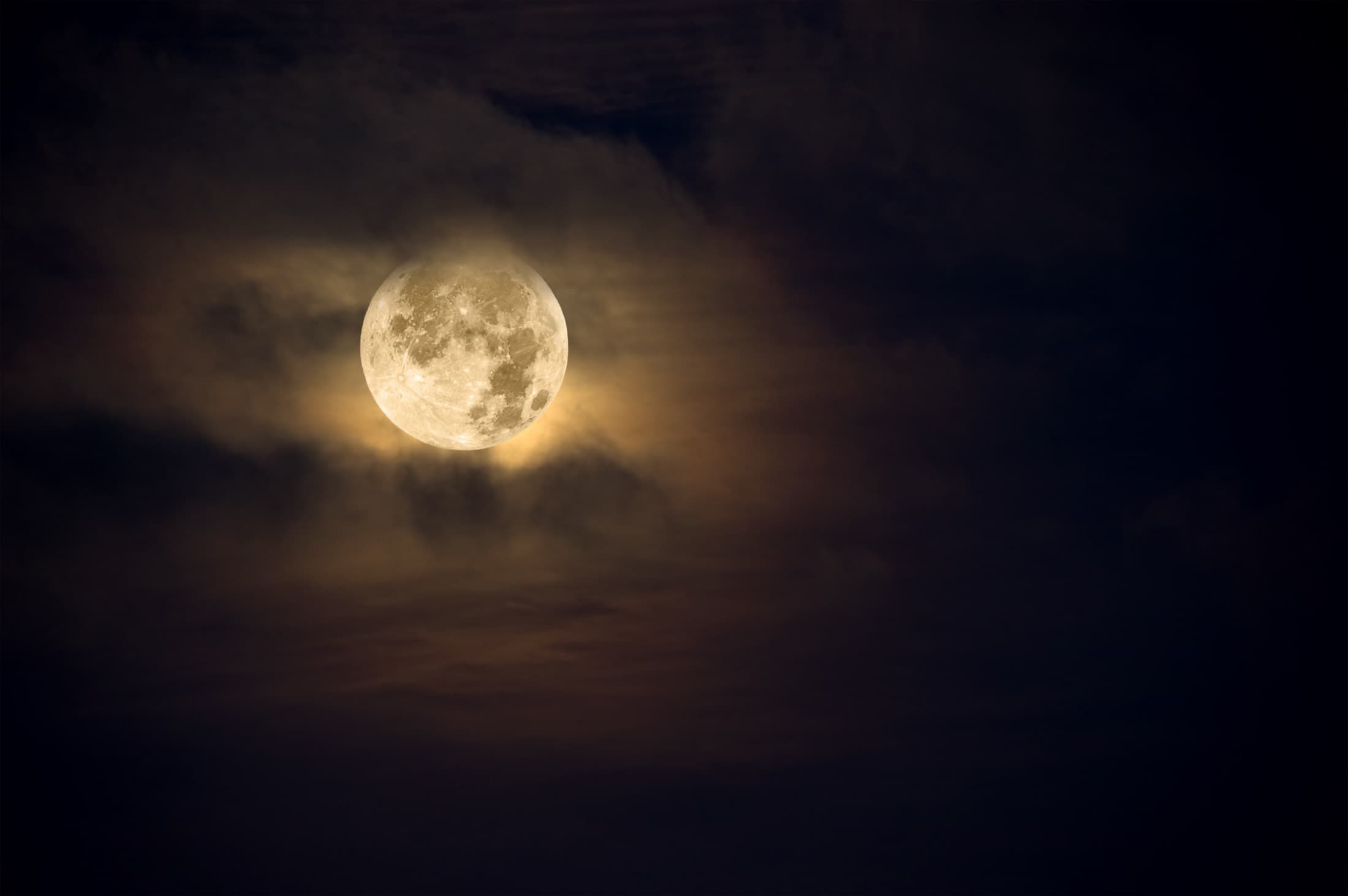 NY Seasonal Tea Ceremony: Harvest Moon Viewing 2026 — 2 of 6
